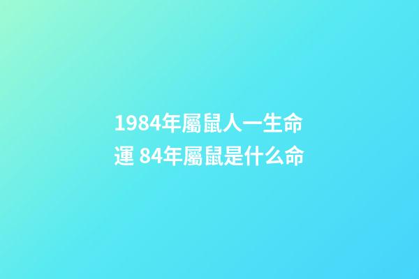 1984年屬鼠人一生命運 84年屬鼠是什么命